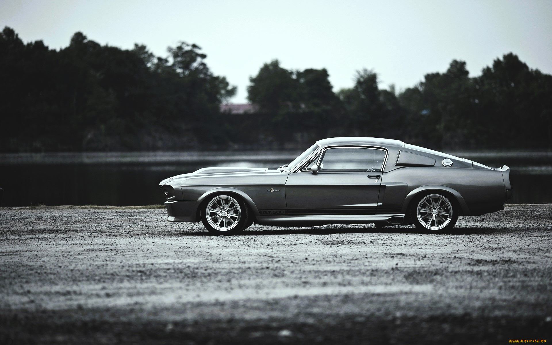 ford mustang shelby gt500, , mustang, -, 
